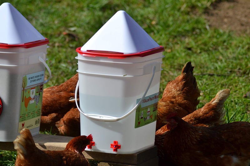 RentACoop 5 Gallon Chicken BPA-Free Plastic Bucket Waterer Set with 4 Horizontal Nipples - Corner Placement - Image 2